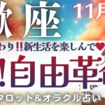 【さそり座】見逃し注意👀‼️我慢の終わり‼️自由革命期🪽✨”仕事・対人運”必見❤️【仕事運/対人運/家庭運/恋愛運/全体運】11月後半 タロット占い