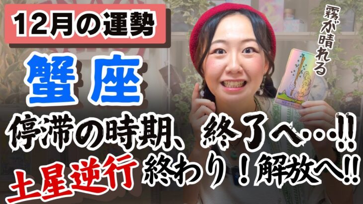 ここからぐんと上昇気流に乗っていく！！【蟹座12月の運勢】