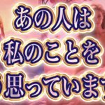 【まさかの😳真実💍】片思い複雑恋愛タロットカードリーディング🧚🏻‍♀️個人鑑定級占い✨🔮