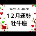 牡牛座はぜったい観た方がいいぜ。これはもう神の導きだわ。贈り物みたいなラスト。　　2025年12月全体運勢♉️仕事恋愛不安解消評価や印象【個人鑑定級タロットヒーリング】