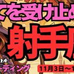 【射手座】♐️2025年11月3日の週♐️すべてを受け止める。悲しいことも、うれしいことも。そして豊かな世界が広がる。いて座。タロットリーディング