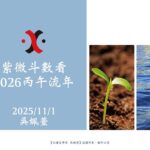 紫微斗數看2026丙午流年_20251101