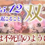 【ふたご座さん⛄️】12月あなたに起こること❄️全双子座さん見てください‼️大興奮リーディング👏✨強過ぎるエネルギー‼️最高の景色を…♡✨【タロット・ルノルマン・オラクルカード占い】