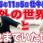 2025年11月5日【牡牛座満月】これまでいた世界と外の世界