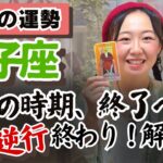 本音が溢れ出る。誤魔化さずにはいられない！【双子座12月の運勢】