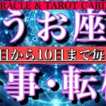 うお座♓️ 11月4日から10日までの仕事運！タロット1日一枚引きで解説🔥どんな1日？チャンスは？