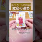 蠍座♏️11月後半【1分凝縮版】→フル動画はこの上、▶︎のリンクから🧚 #タロット占い #星座 #恋愛 #仕事 #11月 #2025 #蠍座 #さそり座 #scorpio