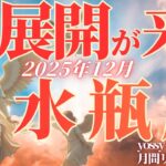 12月の運勢💐みずがめ座　こんな嬉しいことある…⁉️夜明けとV字回復❗️これから流れが一気に変わります✨(お金・仕事・人間関係)