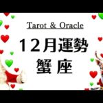 えええ、蟹座が大優勝の年末だわ。こんな結果見たことない。愛され運No. 1かも。　　2025年12月全体運勢♋️仕事恋愛不安解消評価や印象【個人鑑定級タロットヒーリング】