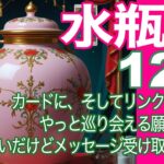 水瓶座♒️12月＊カードに、そしてリンクに大興奮　やっと巡り会える願った世界　たかが占いだけどメッセージを受け取って！！＊魂のリーディング