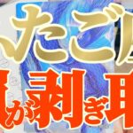 双子座さんへ11月中旬🐉龍神様メッセージ【断然👑スーパービギナーズラック！！】✡️キャラ別鑑定付き✡️　