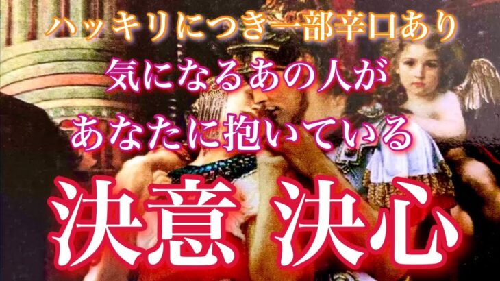 【🦋ハッキリにつき一部辛口あり⚠️💞】気になるあの人があなたに抱いている決意/決心🦋