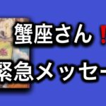 【2025⭐️素晴らしい締めくくりの月になる✨蟹座さんへ表示されています】⚡️ここから１ヶ月😱全体運⭐️仕事運⭐️恋愛運🩷人間関係🩷ガッツリ読み解きました🃏