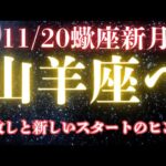 山羊座♑️【11/20蠍座新月からの山羊座さんへメッセージ】