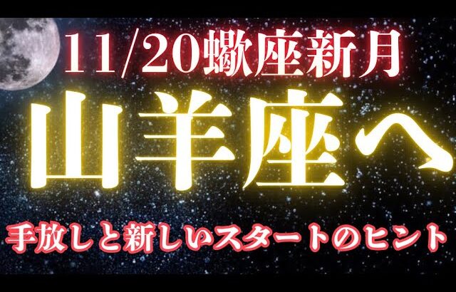 山羊座♑️【11/20蠍座新月からの山羊座さんへメッセージ】