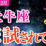 【牡牛座】2025年12月おうし座恋愛運「この恋試されてる❓」