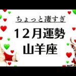 え？山羊座はレベルが違う。運気にも神にも愛されすぎ。全部うまくいく。　2025年12月全体運勢♑️仕事恋愛不安解消評価や印象【個人鑑定級タロットヒーリング】Tarot &Oracle