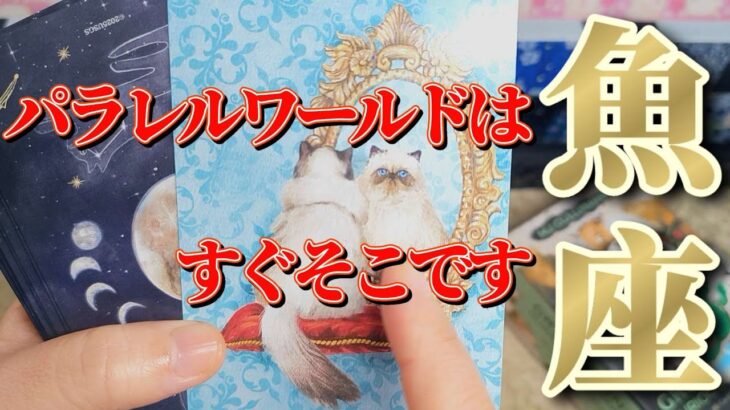 魚座さん見て！時間は有限ですよ🎀何を選ぶかはアナタ次第です💐💐【12月前半運勢】