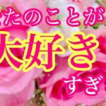 ✨🎀あなたの事が大好きすぎる人🎀✨関係性🧸イニシャル🧸星座🎀✨