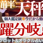 【天秤座】個人鑑定級‼️今だからこそ動く運命‼️飛躍する分岐点🌟✨【仕事運/対人運/家庭運/恋愛運/全体運】12月前半 タロット占い