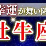 『11月11日までに見て！』 牡牛座 ( 2025年11月 前半～後半) 運命がひっくり返る！自己確立の瞬間✨🔑 おうし座 ♉ タロット占い タロットリーディング 2025