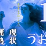 #魚座#タロット占い 【11月後半運勢】