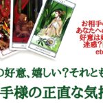 🌹恋愛タロット占い🌹忖度なしリーディング‼️私からの好意、嬉しい？それとも迷惑？お相手様のあなたへの正直な気持ち 片思い カップル 復縁 etc..告白前 告白後の方も✨