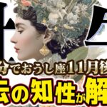 【15分でわかる！おうし座11月後半】衝撃の展開！ あなたの知性と計画性が奇跡を起こす【癒しの眠れる占い】