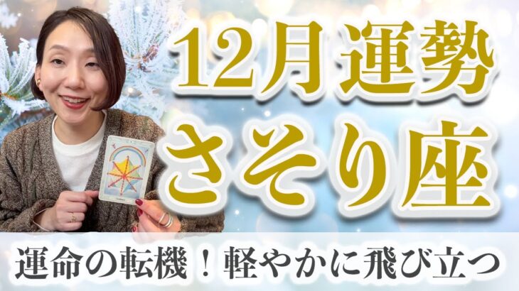 12月 さそり座の運勢♏️ / これは凄い！ええ流れ来てます！直感もキレッキレ【トートタロット & 西洋占星術】