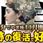 【15分でわかる！やぎ座11月後半】奇跡の復活劇！ 努力が報われ新しいステージへ【癒しの眠れる占い】
