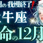 【牡牛座】【感動‥】約4ヶ月の悩みに終止符/年末年始の最高の景色🕊️想定外が力に変わる時《12月運勢》【星読みタロット】