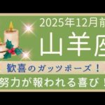 【山羊座】12月前半✨見通しは明るい！自分に誇りを持って。お仕事の良い変化✦オラクルカードリーディング 2025