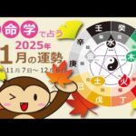 算命学で占う２０２５年１１の運勢（１１／７～１２／６）