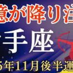 【射手座】2025年11月後半のいて座の運勢～巨億が降り注ぐとき～