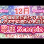 蠍座12月♏️長い準備期間が終わり、始まる忙しさの中に遊び心を混ぜる⭐️宇宙からのメッセージ￼