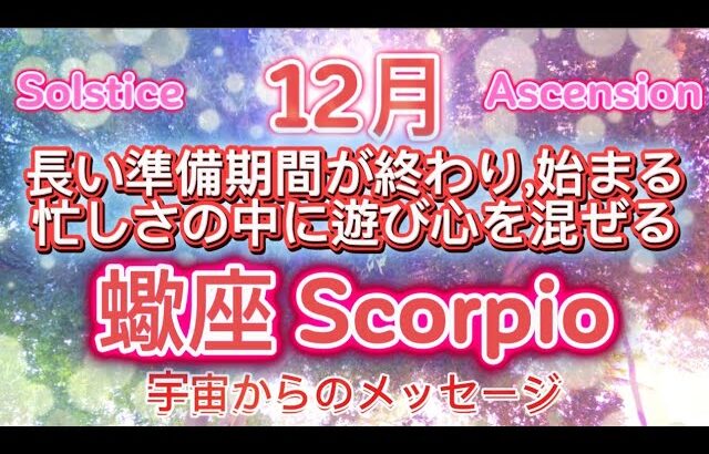 蠍座12月♏️長い準備期間が終わり、始まる忙しさの中に遊び心を混ぜる⭐️宇宙からのメッセージ￼