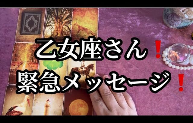 【最高の１ヶ月✨になる乙女座さんへ表示されています】⚡️ここから１ヶ月😱全体運⭐️仕事運⭐️恋愛運🩷人間関係🩷ガッツリ読み解きました🃏