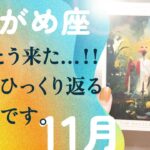 さすがに、断言します。今やらないでいつやるの。変わります、とても。【11月の運勢　水瓶座】