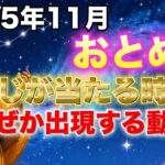 【実話】65歳無職で餓死寸前→5億円当選｜乙女座の人だけに起きる11月の奇跡｜この動画を見た時点で既に選ばれています【おとめ座♍️金運】