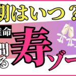 【四柱推命】あなたの婚期はいつ？結婚のチャンスは「寿ゾーン」