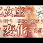 乙女座🌎止まっていた時が動く大復活‼️現状打破悩み終了😳【個人鑑定級】先読み深掘りリーディング#アファメーション#潜在意識#乙女座