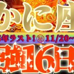 蟹座さん見て！お金はナマモノ旬のうちに使って😲超最強の16日間が来るよ👑【11月後半運勢】♾️天一天上♾️