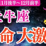 【牡牛座】2025年11月後半～おうし座仕事運「運命大激変‼️」