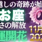 【魚座11月後期】2017年からの苦労が報われる日！✨あなたの金運が激変する【12星座】