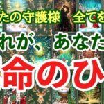 【守護霊タロット】選択肢◯さん❣️大神回✨運命の人の破壊力は半端なかった😳
