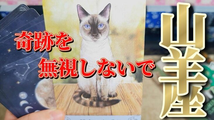 山羊座さん見て！12月前半は有り得ない体験をするよ🌈🌈【12月前半運勢】