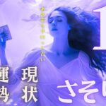 #蠍座#タロット占い 【11月後半運勢】