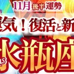 水瓶座 11月後半運勢【世界が180度ひっくり返る！救済と大上昇】大どんでん返しの神展開　みずがめ座　2025年 11月運勢　タロットリーディング　Aquarius　November