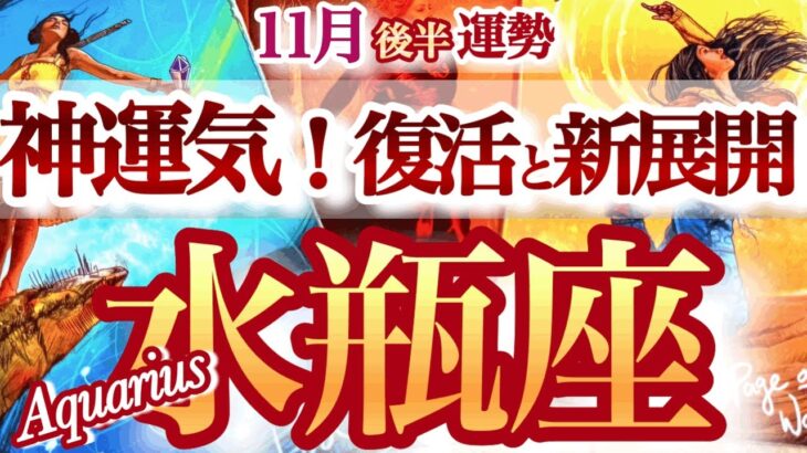 水瓶座 11月後半運勢【世界が180度ひっくり返る！救済と大上昇】大どんでん返しの神展開　みずがめ座　2025年 11月運勢　タロットリーディング　Aquarius　November