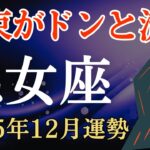 【乙女座】2025年12月のおとめ座の運勢～札束がドンと流入～